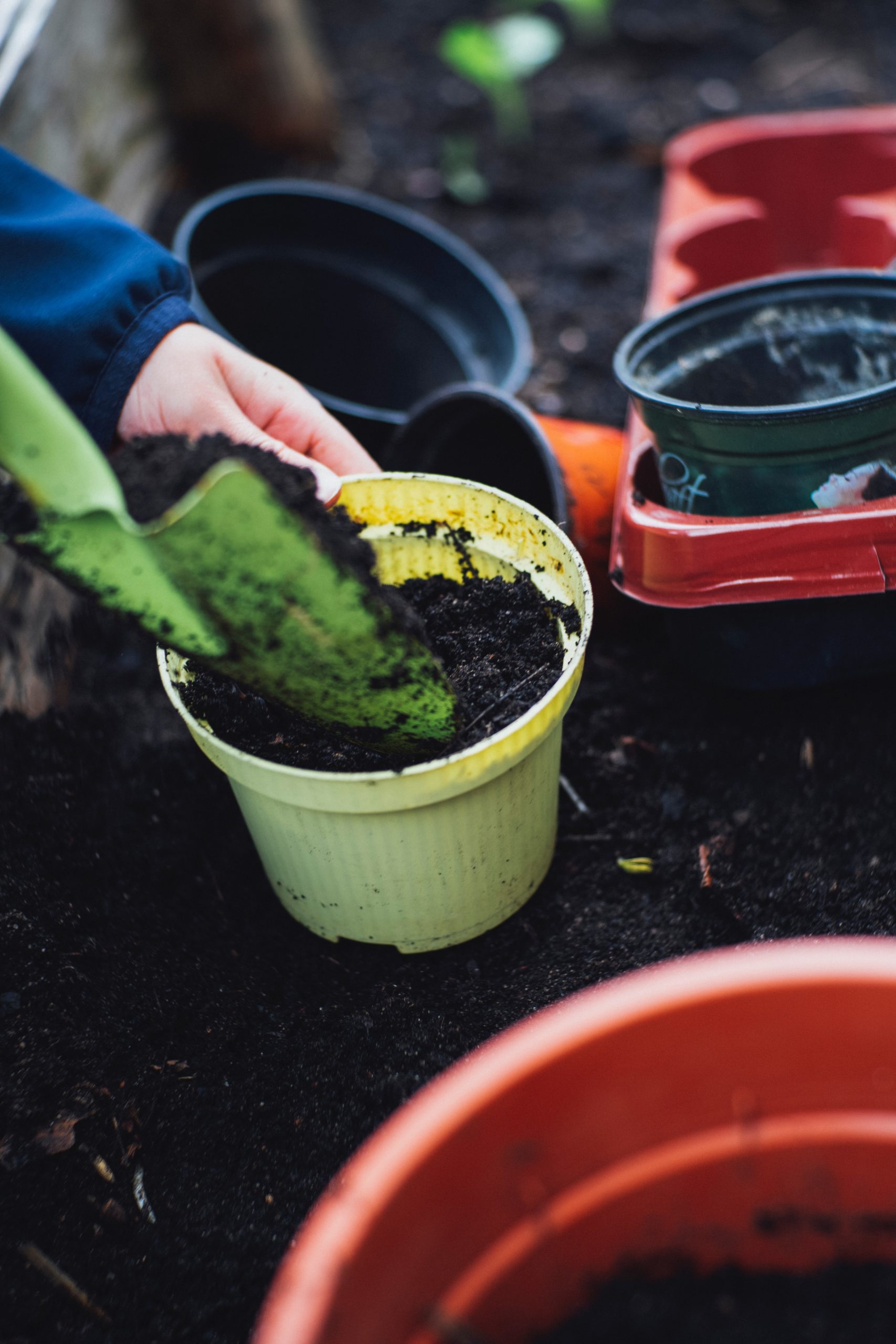 Foto de Markus Spiske en Unsplash